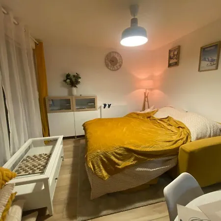 Διαμέρισμα Cosy Au Bords Du De Loudenvielle